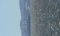 IMG_1501jpeg 