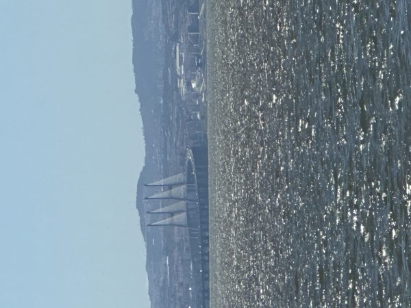 IMG_1501jpeg