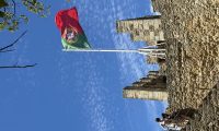 IMG_1610jpeg 