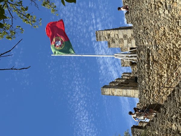 IMG_1610jpeg