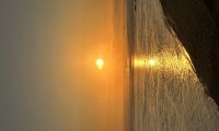 IMG_2683jpeg 