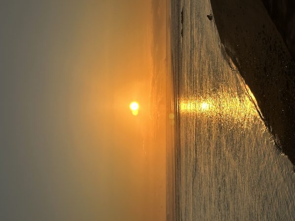 IMG_2683jpeg